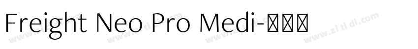 Freight Neo Pro Medi字体转换